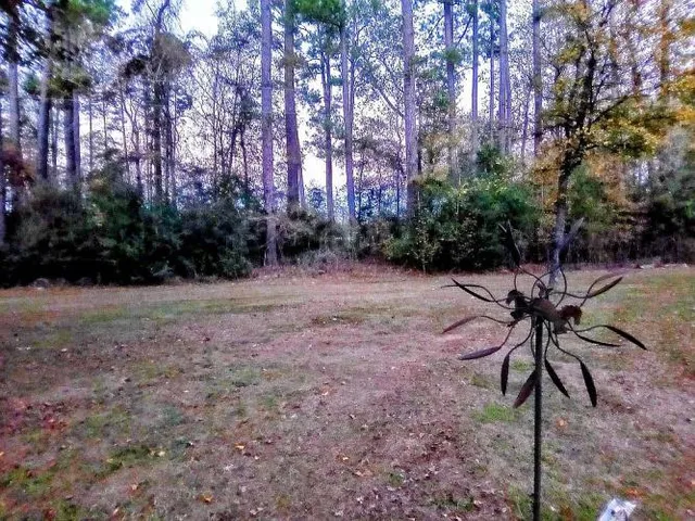 $290,000 | 2 Forest Service Road, Unit 214, New Waverly, TX 77358