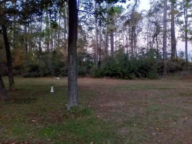 $290,000 | 2 Forest Service Road, Unit 214, New Waverly, TX 77358