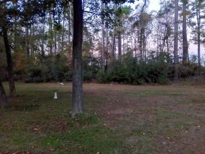 2 Forest Service Road, Unit 214 New Waverly, TX 77358 - Photo 16 of 34