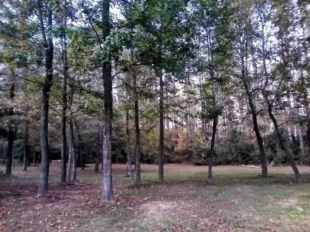 $290,000 | 2 Forest Service Road, Unit 214, New Waverly, TX 77358