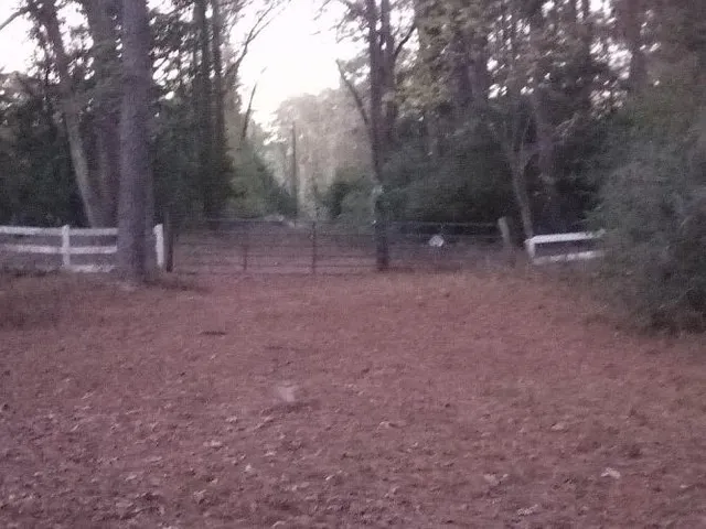 $290,000 | 2 Forest Service Road, Unit 214, New Waverly, TX 77358