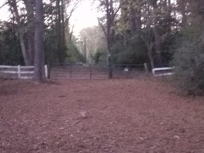 2 Forest Service Road, Unit 214 New Waverly, TX 77358 - Photo 19 of 34