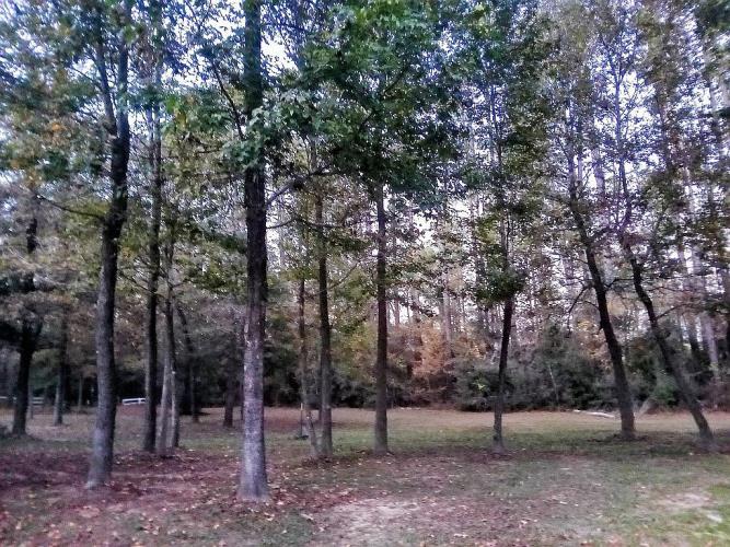 2 Forest Service Road, Unit 214 New Waverly, TX 77358 - Photo 21 of 34