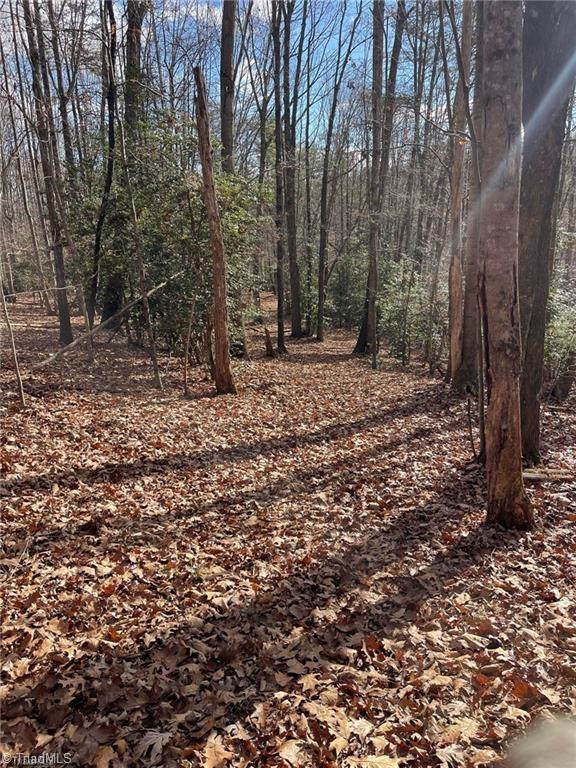 Tbd Whisper Ridge Lane Elkin, NC 28621 - Photo 20 of 32 Gallery Image 20