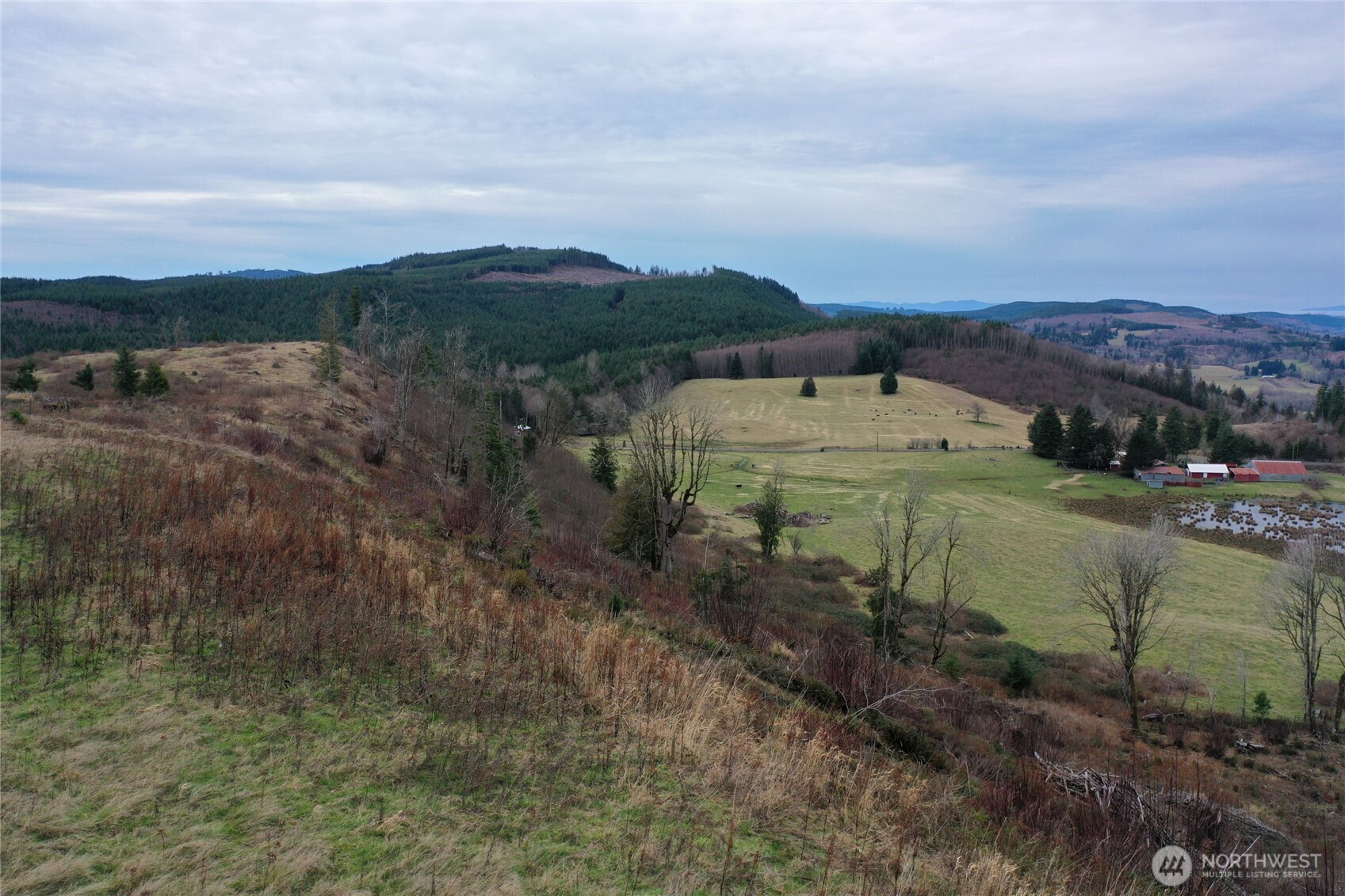 4 Hagen Road Mossyrock, WA 98564 - Photo 11 of 15