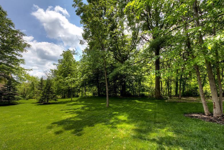 205 Halverston Road Powell, OH 43065 - Photo 4 of 17 Gallery Image 4