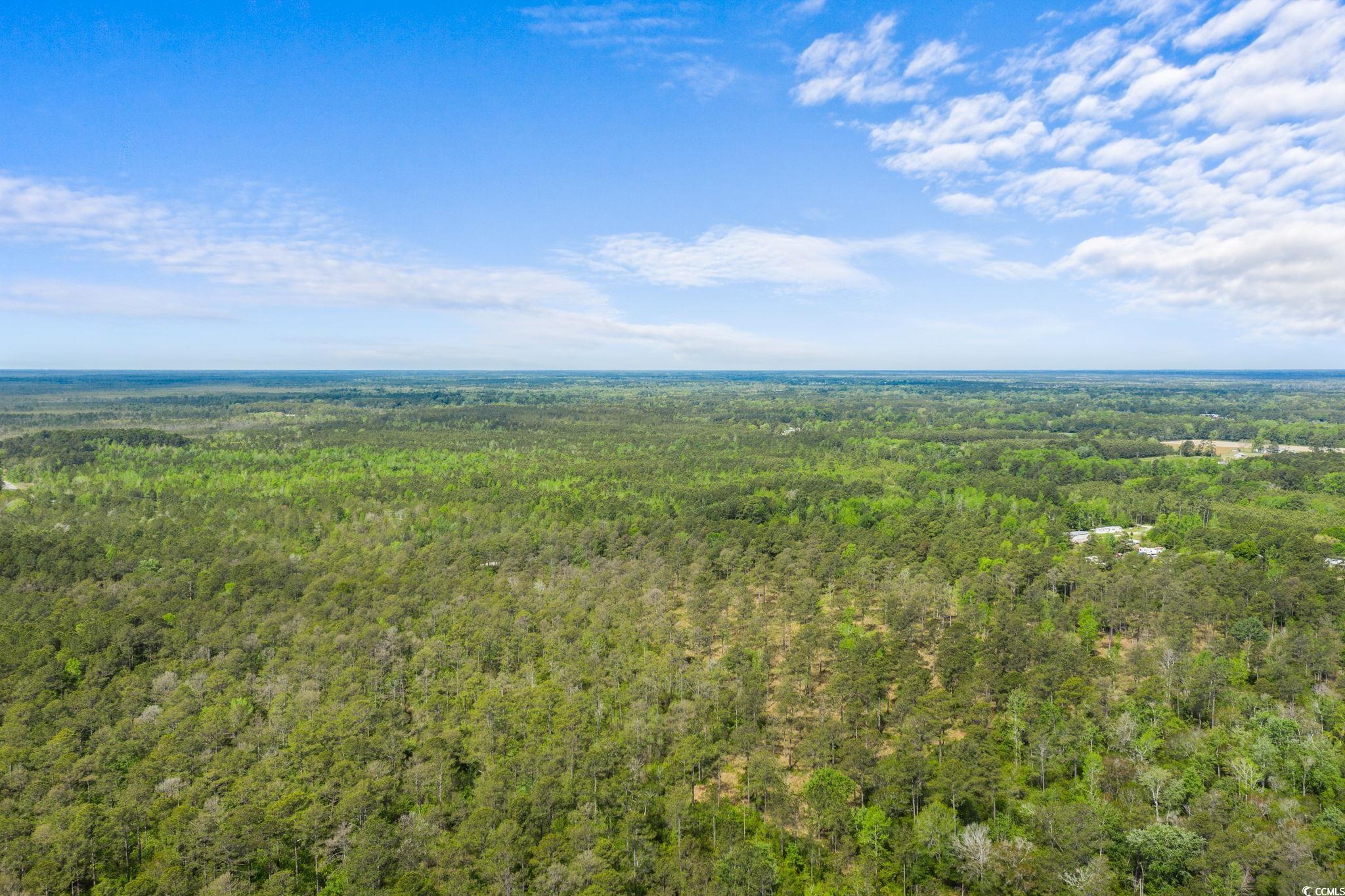 Tbd Water Tower Road Longs, SC 29568 - Photo 5 of 21