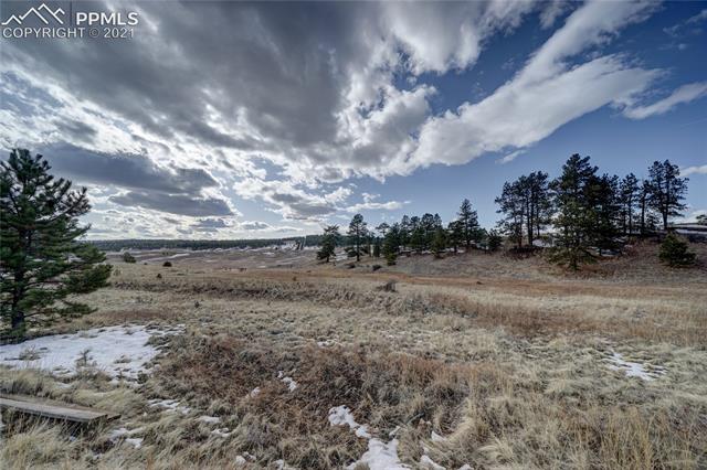 297 High Pasture Road Florissant, CO 80816 - Photo 10 of 23 Natural gas at the property line