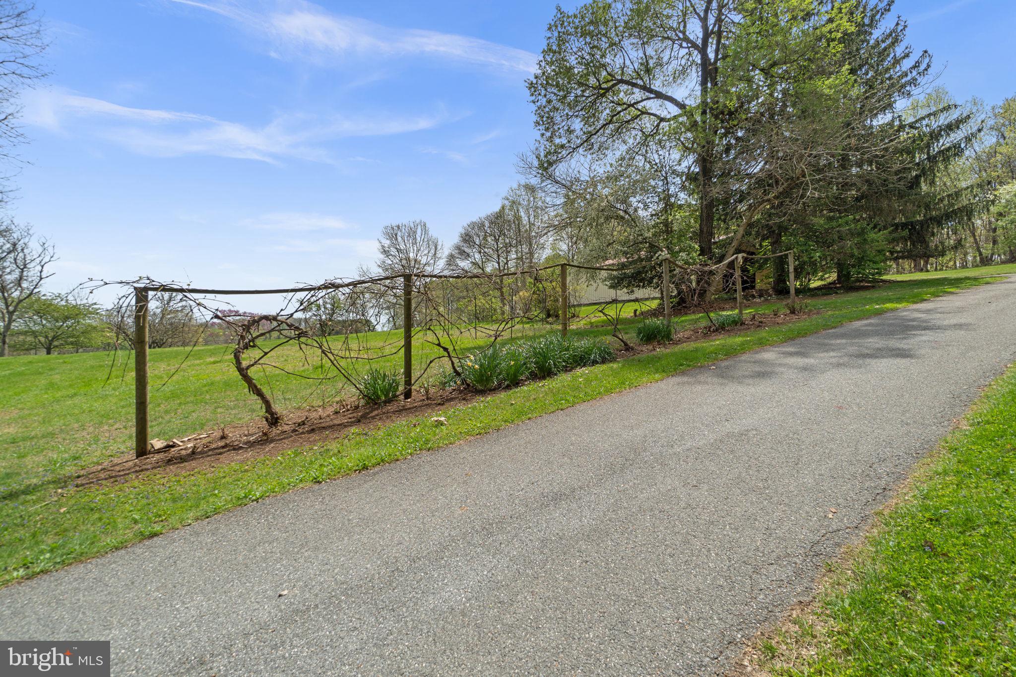 2062 Harvey Gummel Road Hampstead, MD 21074 - Photo 53 of 70 Grape Vines