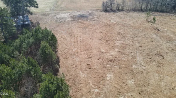 a view of a dry yard with trees