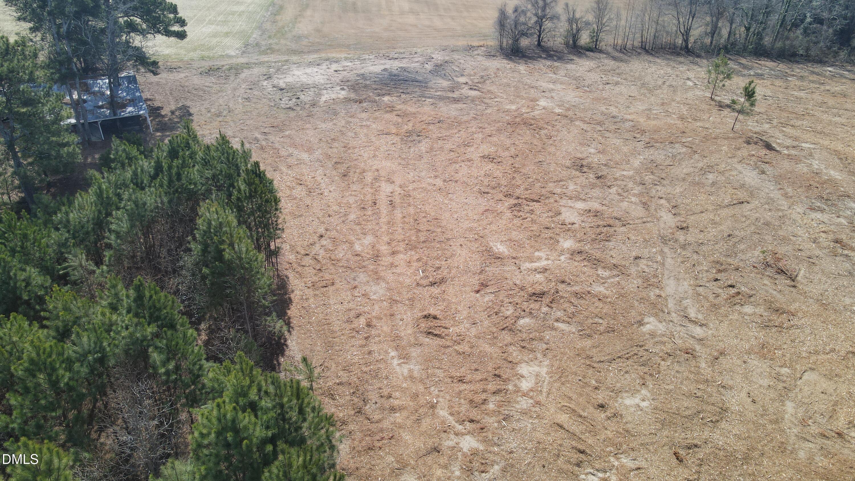 a view of a dry yard with trees