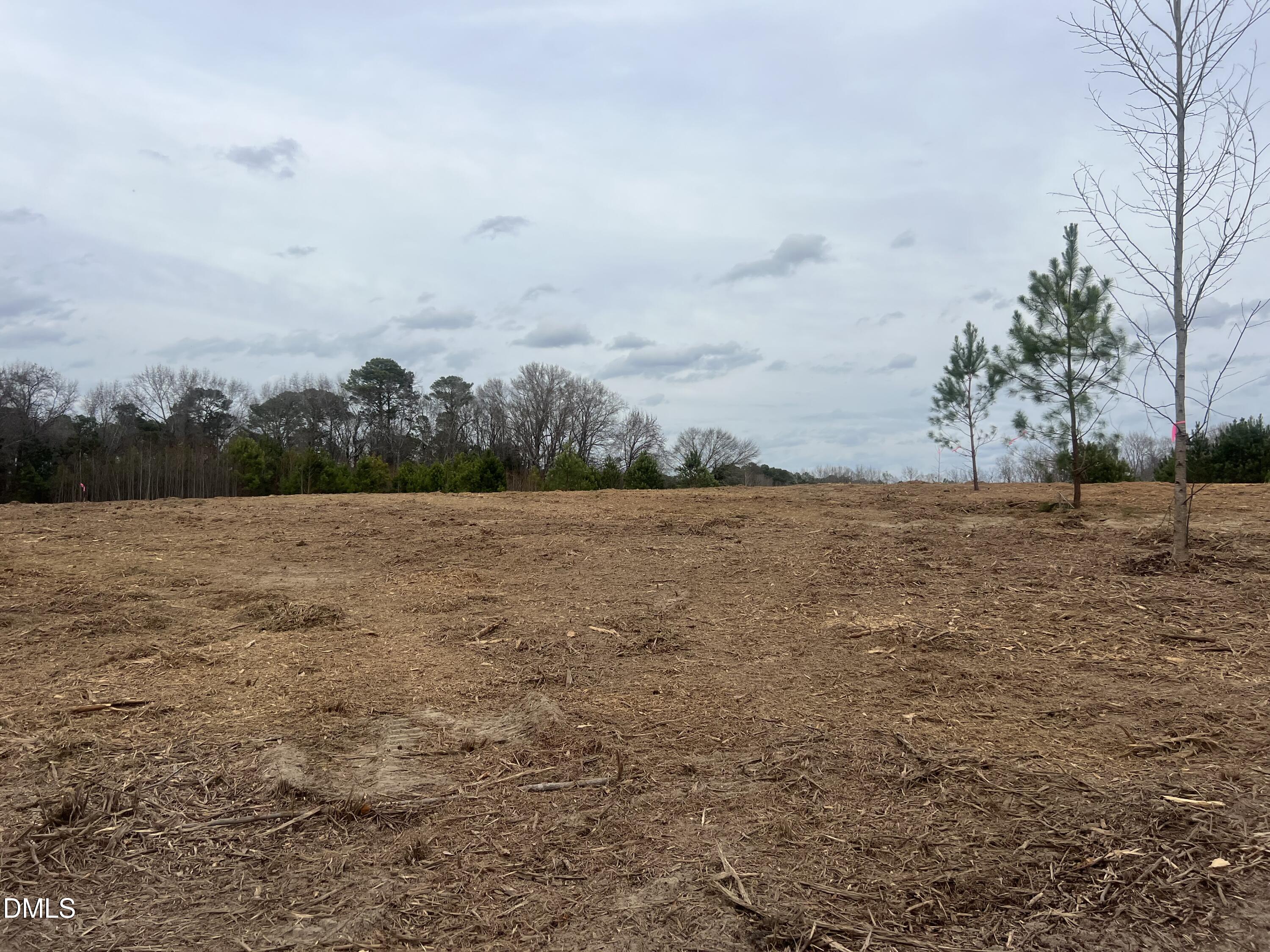 27 Woods Hill Lane Road Benson, NC 27504 - Photo 11 of 19 a view of a lake view with houses in back