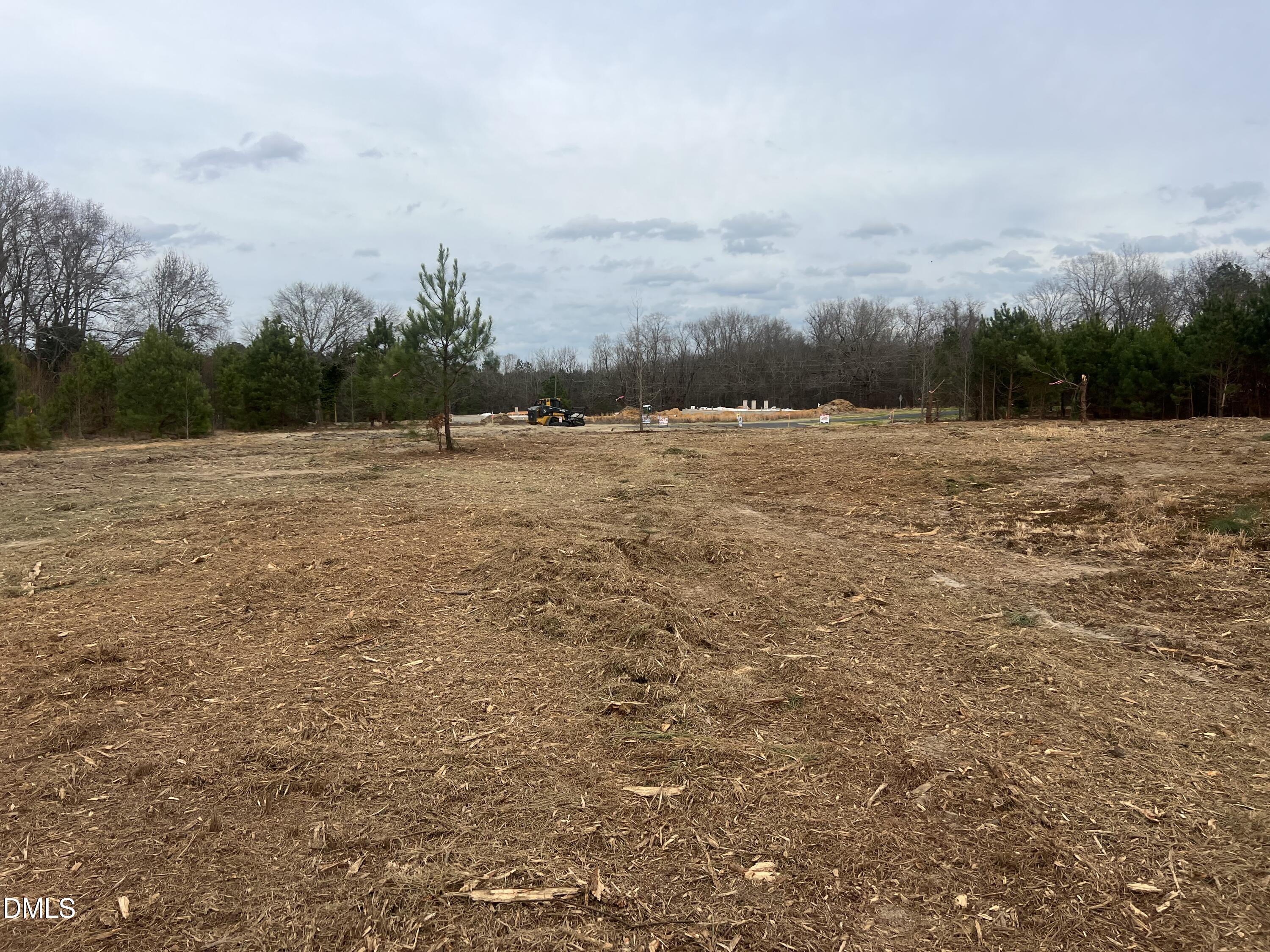 27 Woods Hill Lane Road Benson, NC 27504 - Photo 15 of 19 a view of open space with mountain view