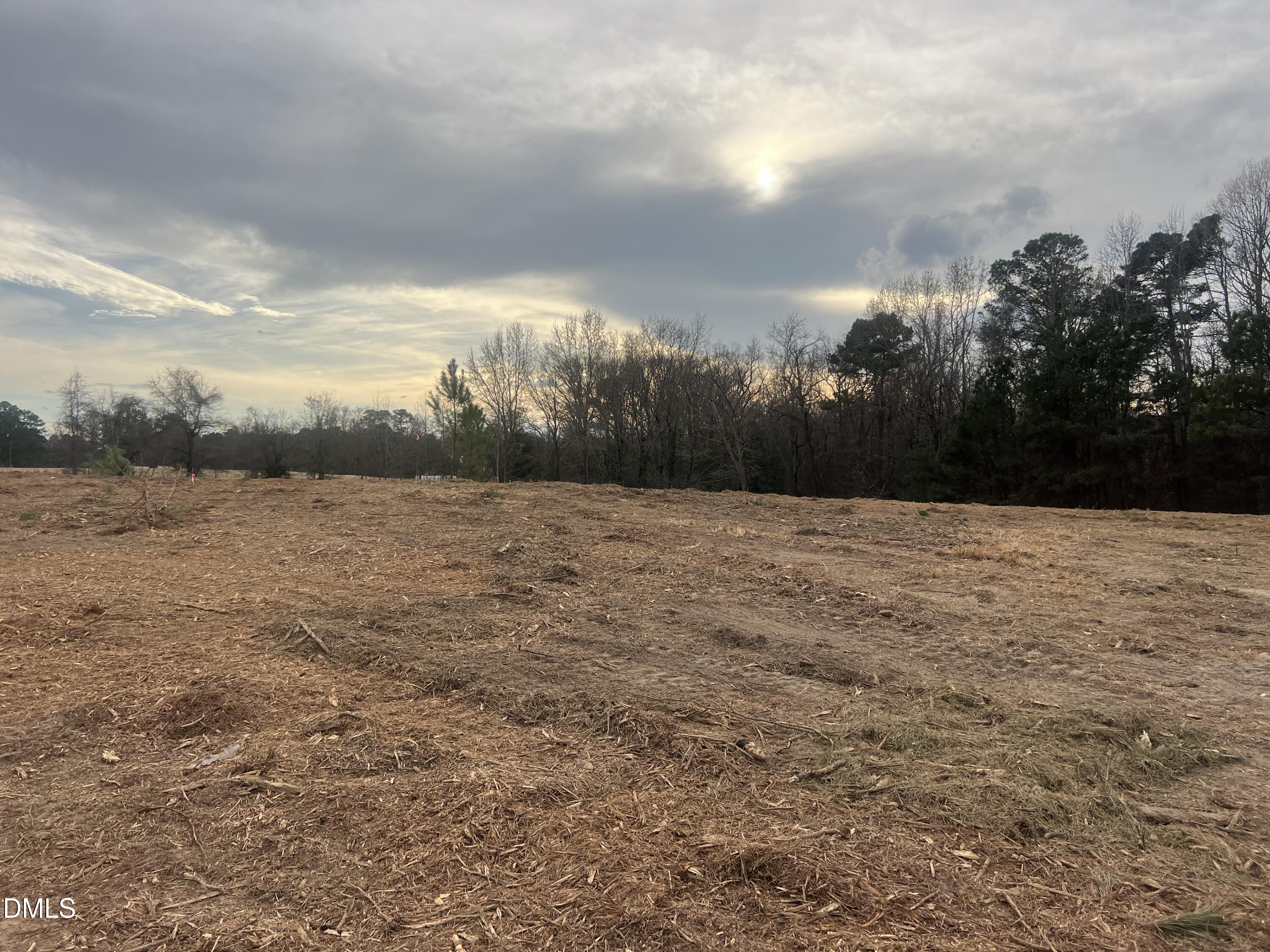 27 Woods Hill Lane Road Benson, NC 27504 - Photo 17 of 19 a view of basketball court