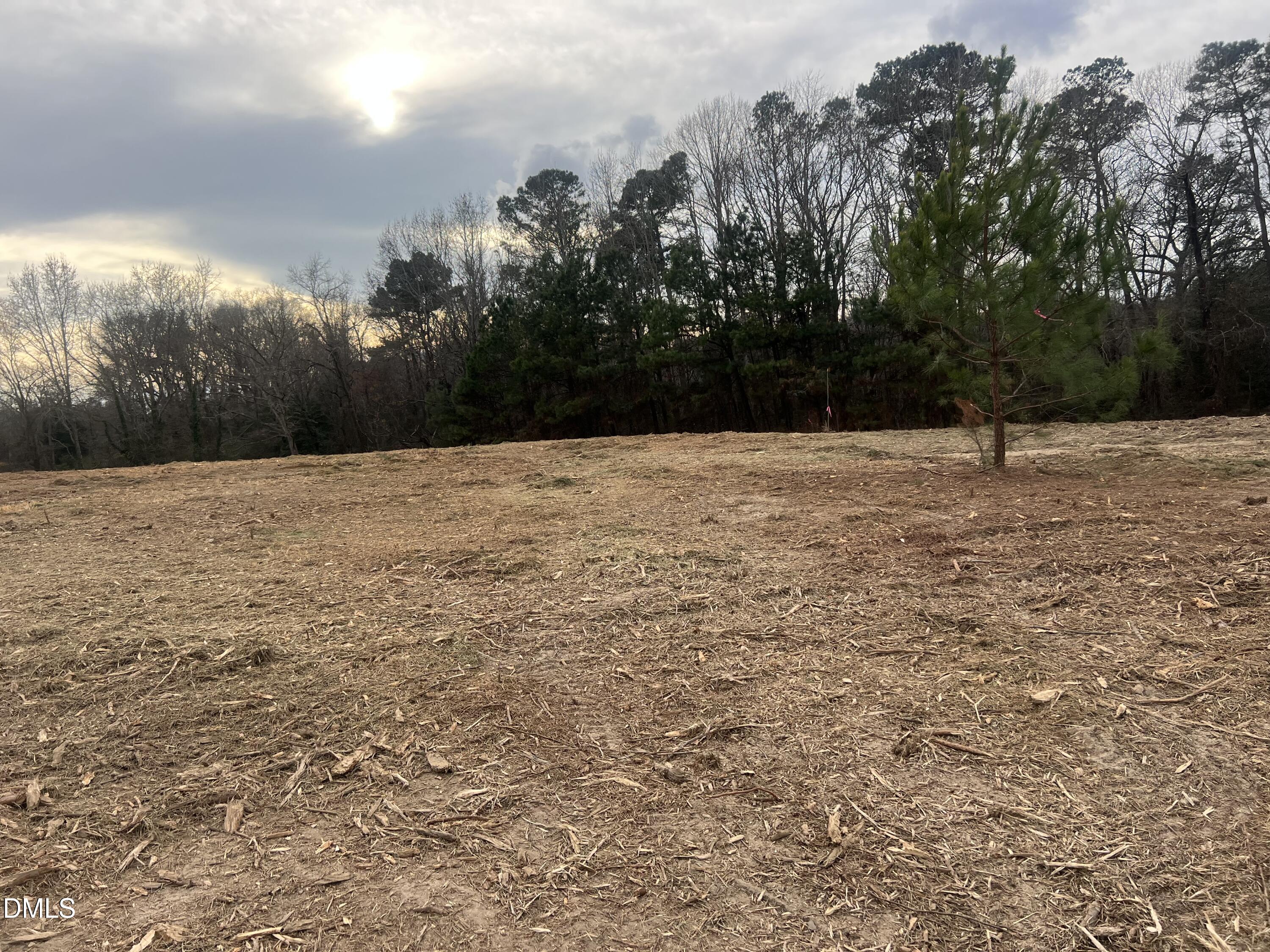 27 Woods Hill Lane Road Benson, NC 27504 - Photo 18 of 19 a backyard of a house with lots of green space