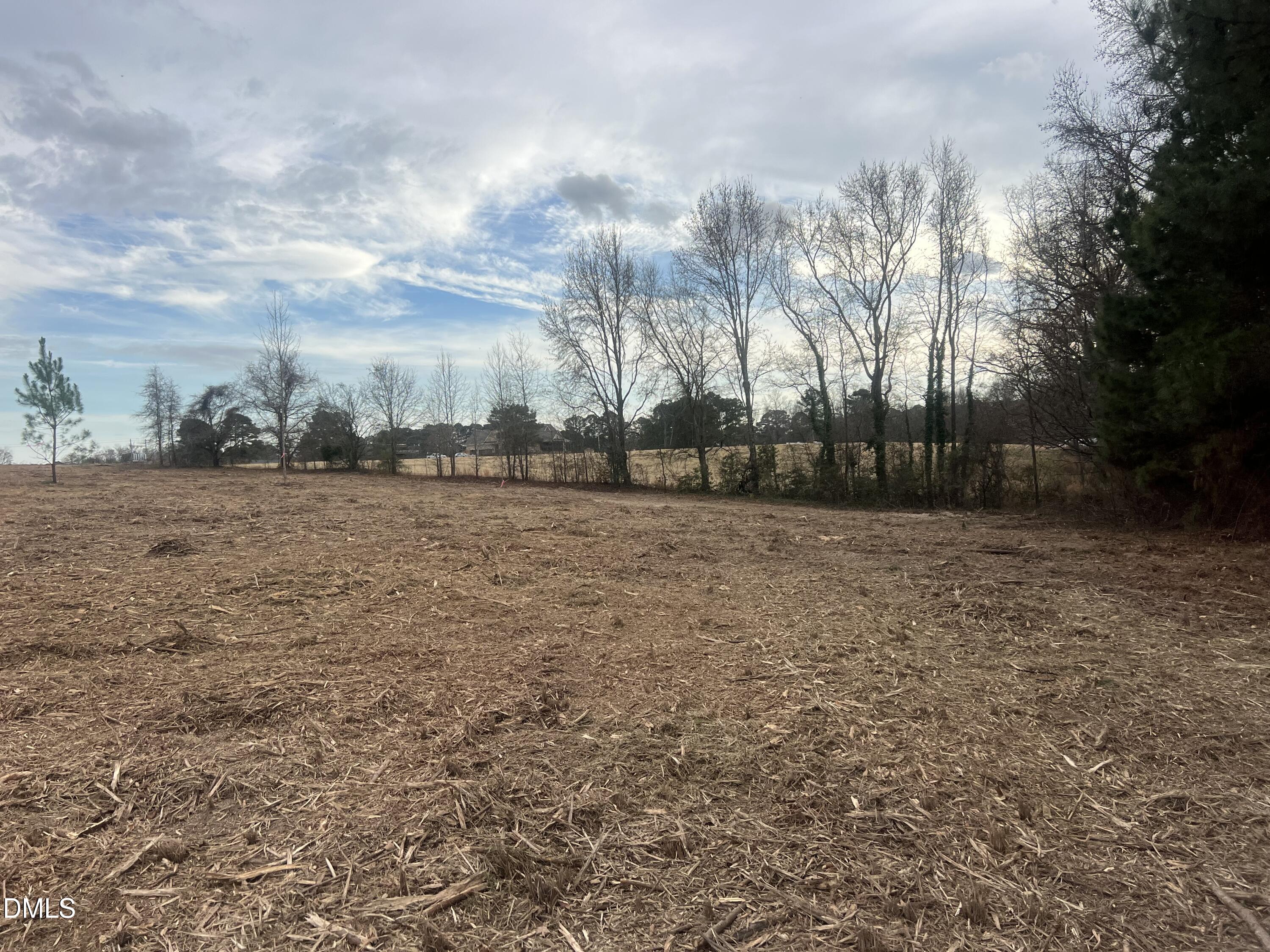 27 Woods Hill Lane Road Benson, NC 27504 - Photo 8 of 19 a backyard of a house with lots of green space