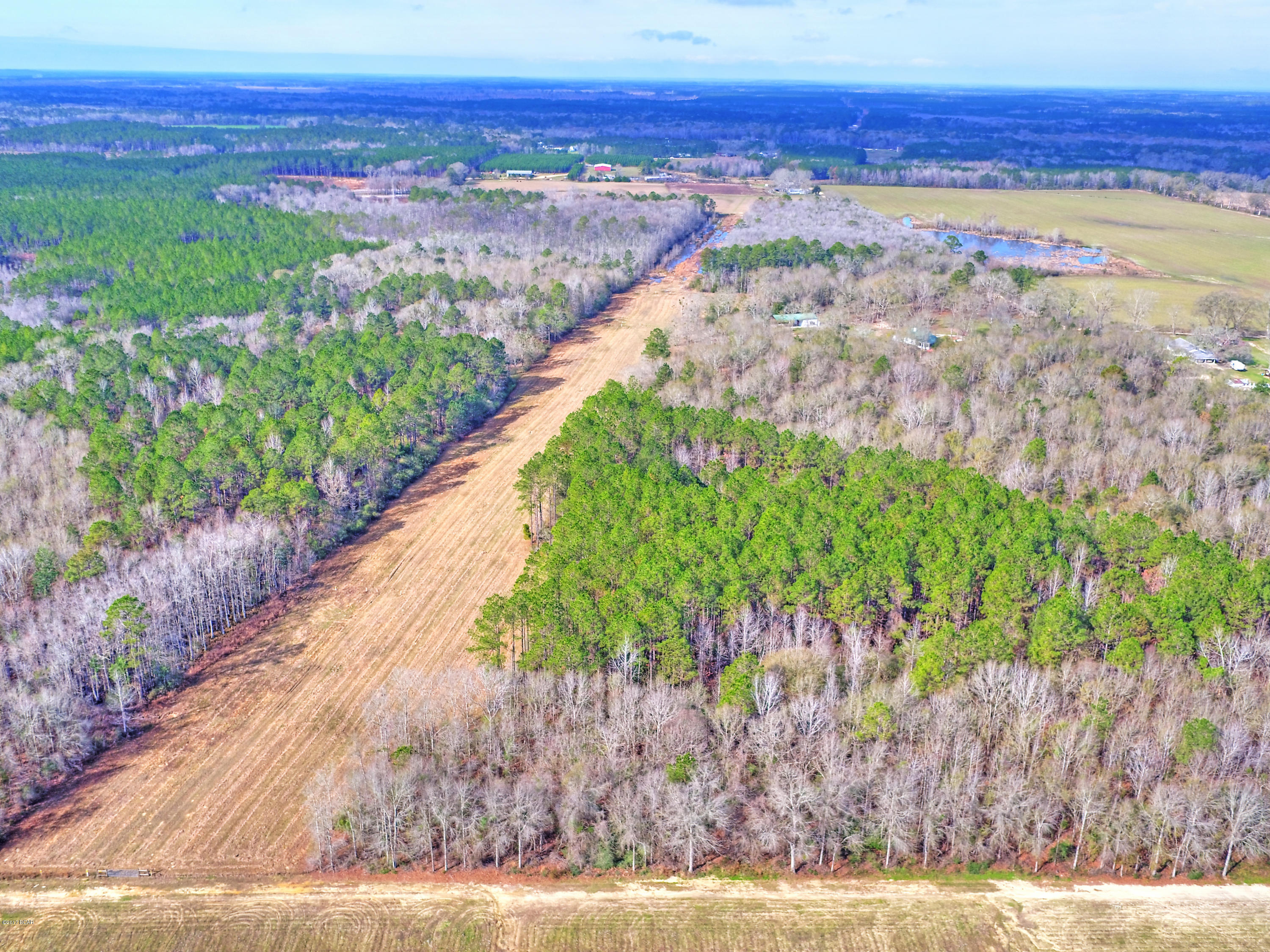 2877 Bruner Dairy Road Vernon, FL 32462 - Photo 76 of 100 Gallery Image 76
