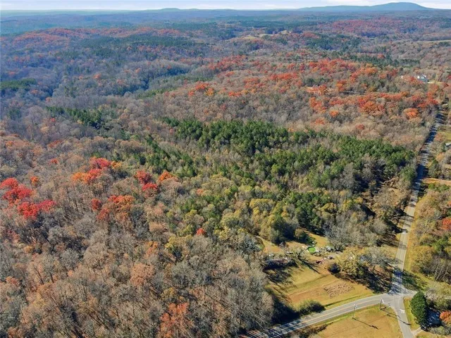 a view of outdoor space with lots of trees