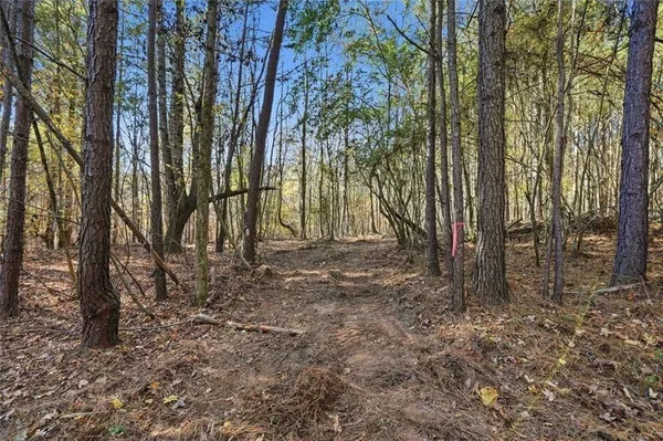 a view of outdoor space with lots of trees