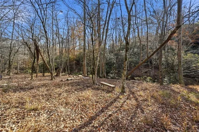 $1,075,000 | 0 Lower Dowda Mill Road, Jasper, GA 30143