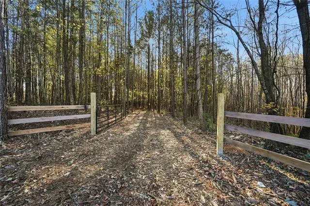 a view of a yard with a tree