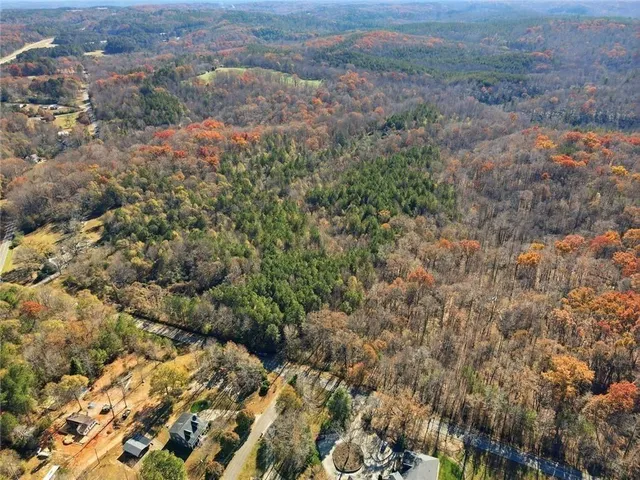 a view of a lush green forest with lush green forest