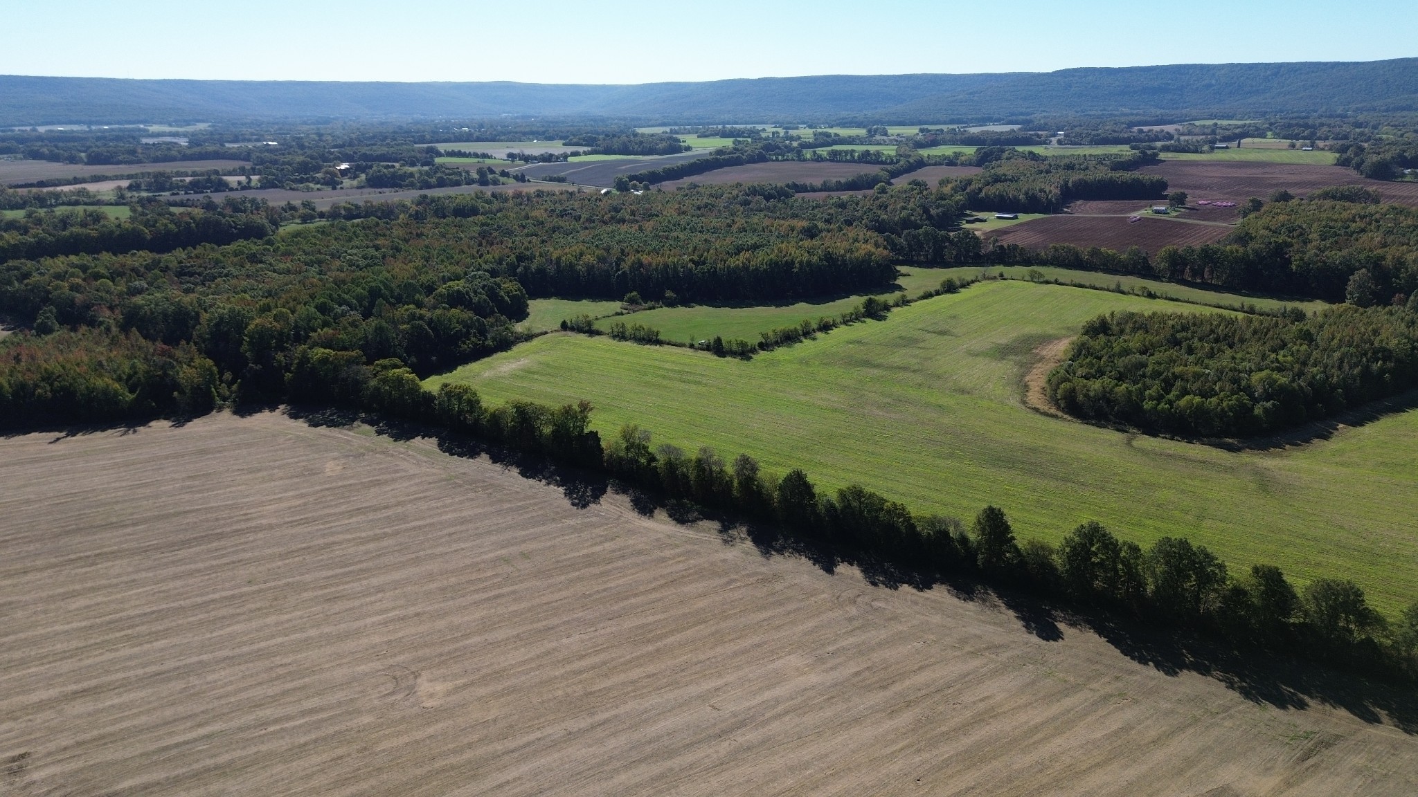 2526 Oak Grove Road Decherd, TN 37324 - Photo 10 of 13