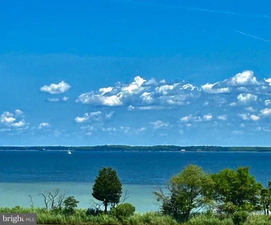 a view of a lake with a city