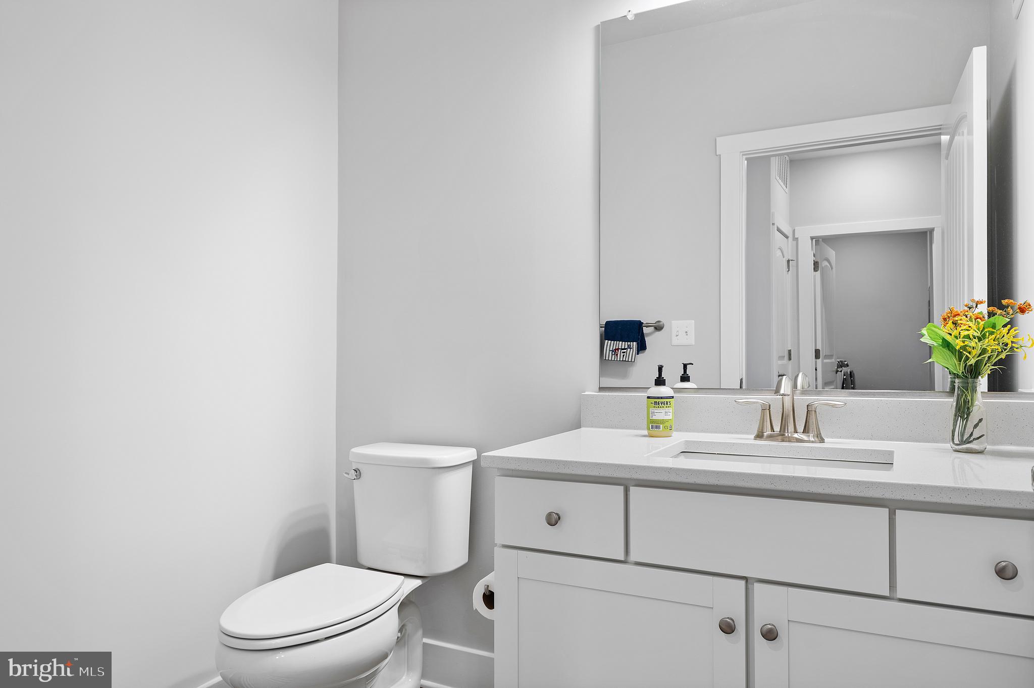 111 Marshgrass Way, Unit 43 Chester, MD 21619 - Photo 29 of 63 Powder Room