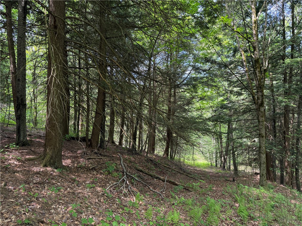 Vl 106 Road Alma, NY 14708 - Photo 13 of 36 Gallery Image 13