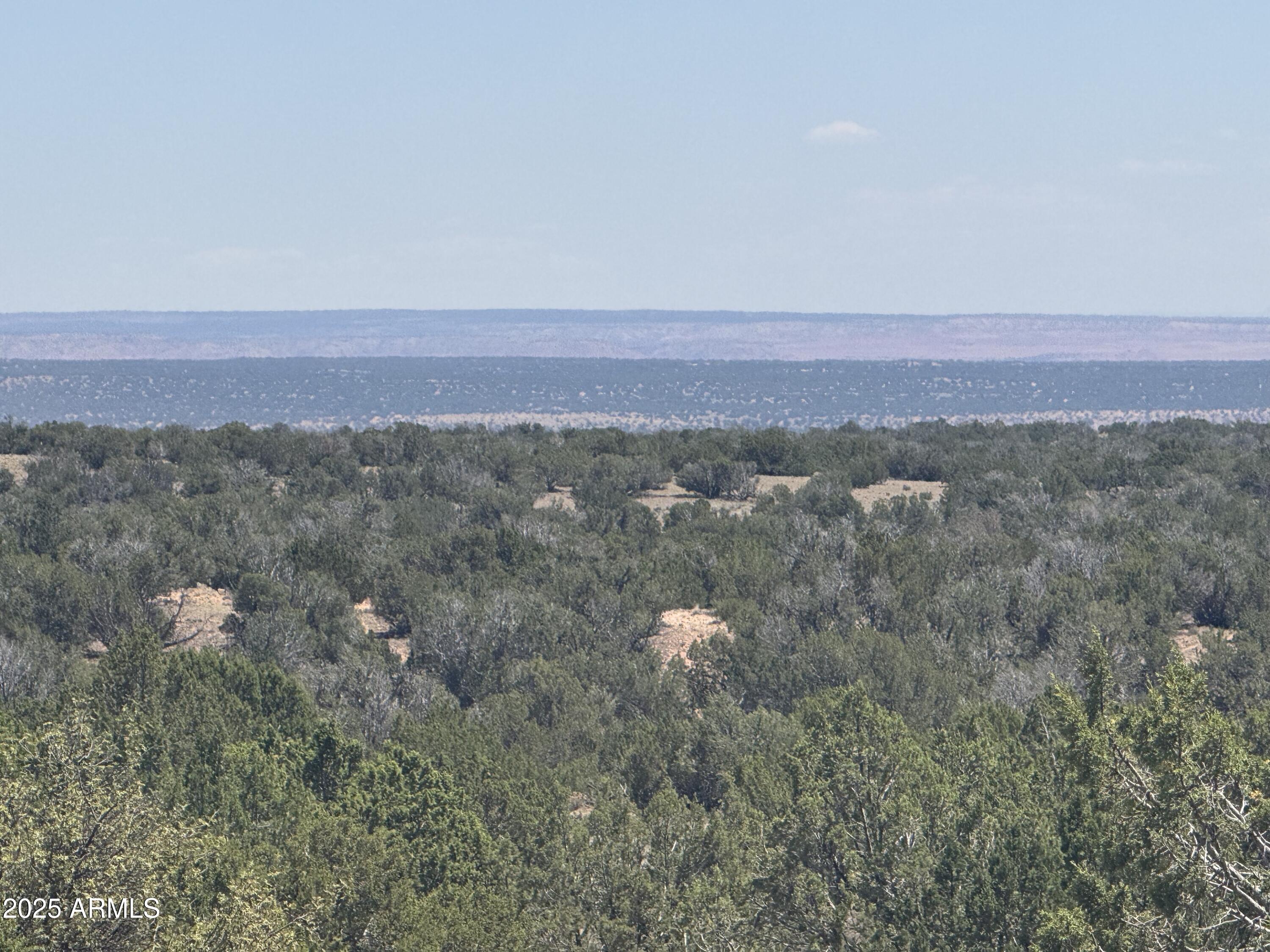 Lot 120 Red Sky Ranch, Unit 120B St. Johns, AZ 85936 - Photo 1 of 10 IMG_8914