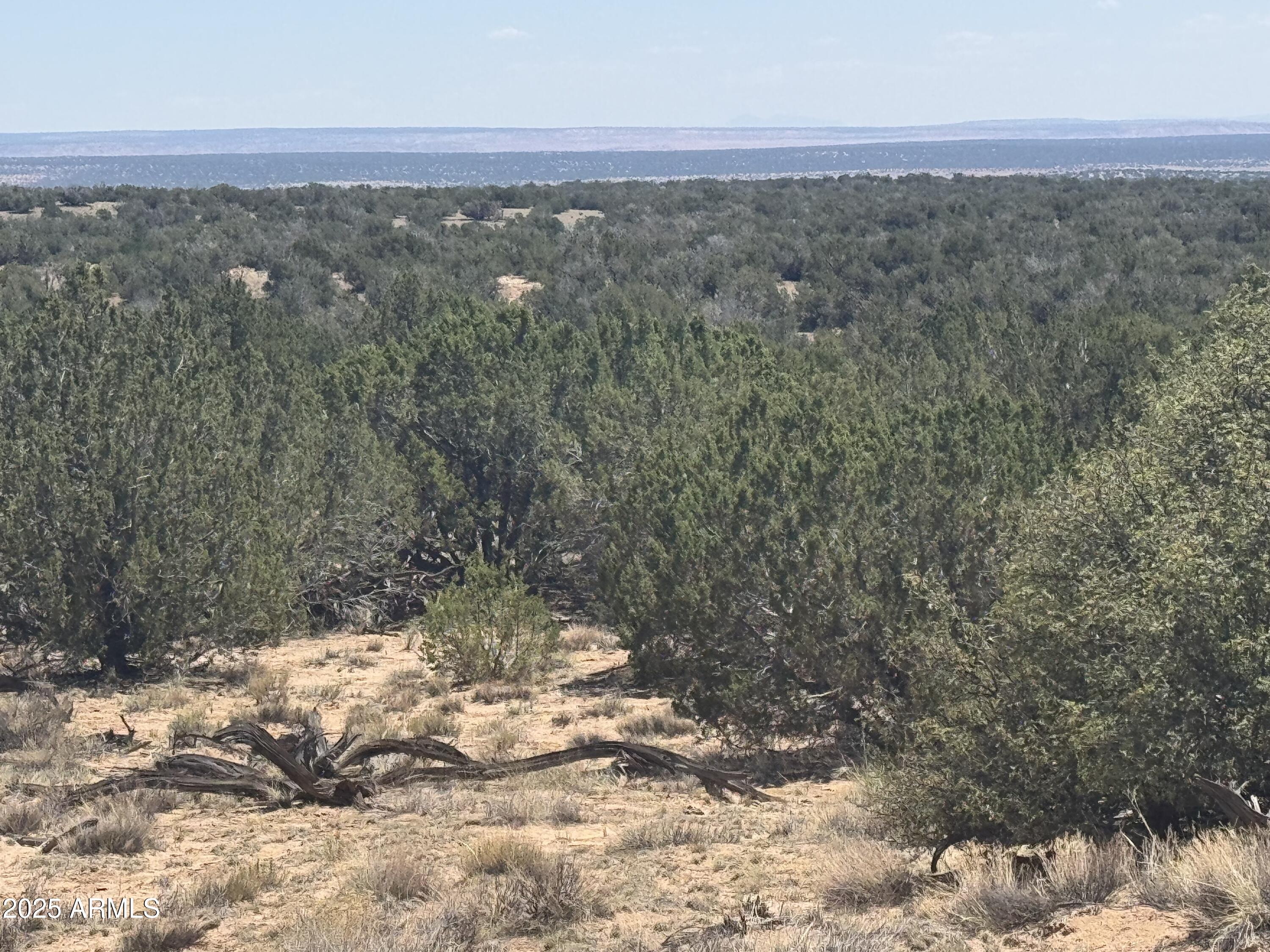 Lot 120 Red Sky Ranch, Unit 120B St. Johns, AZ 85936 - Photo 2 of 10 IMG_8915