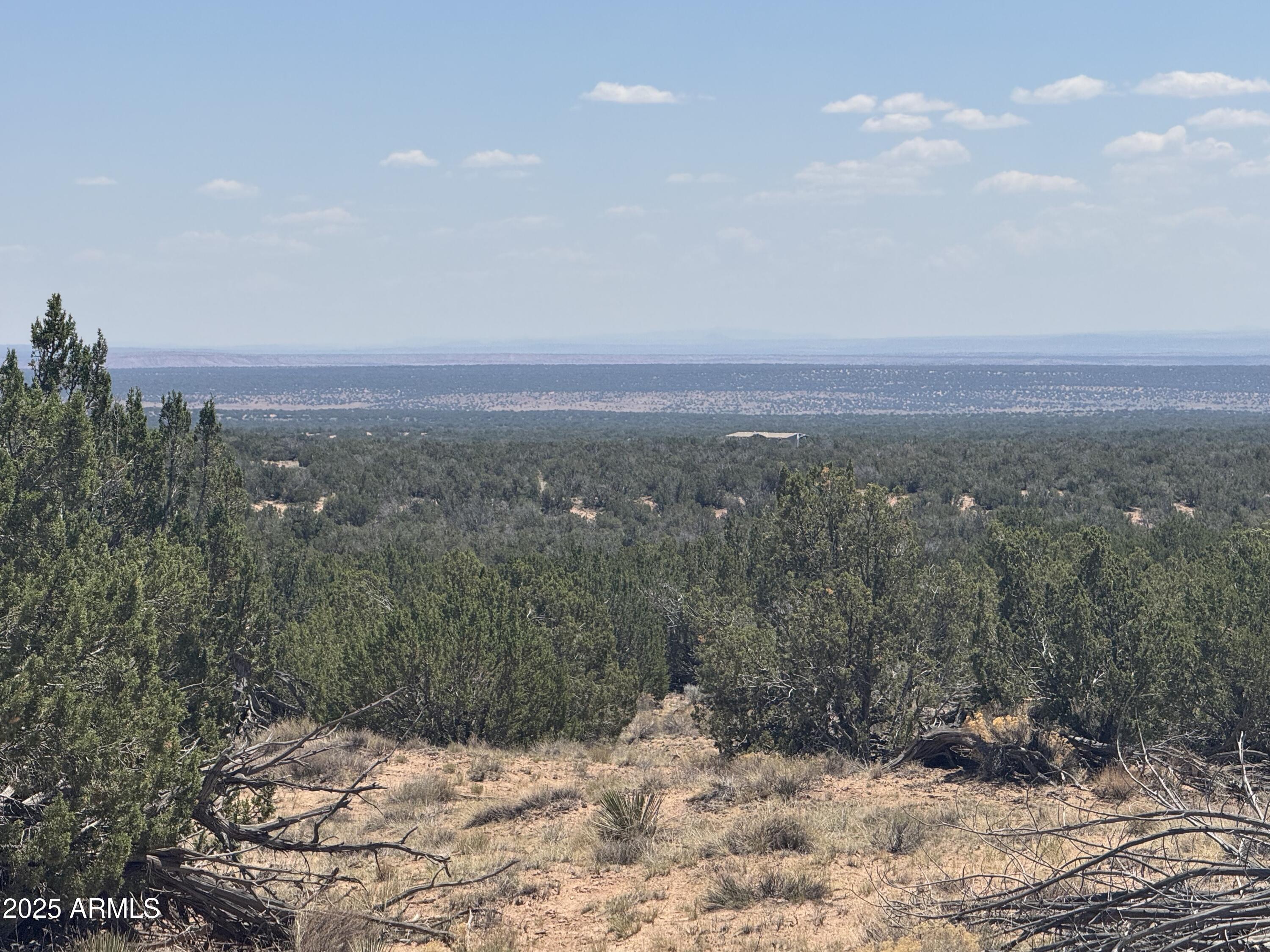 Lot 120 Red Sky Ranch, Unit 120B St. Johns, AZ 85936 - Photo 3 of 10 IMG_8909