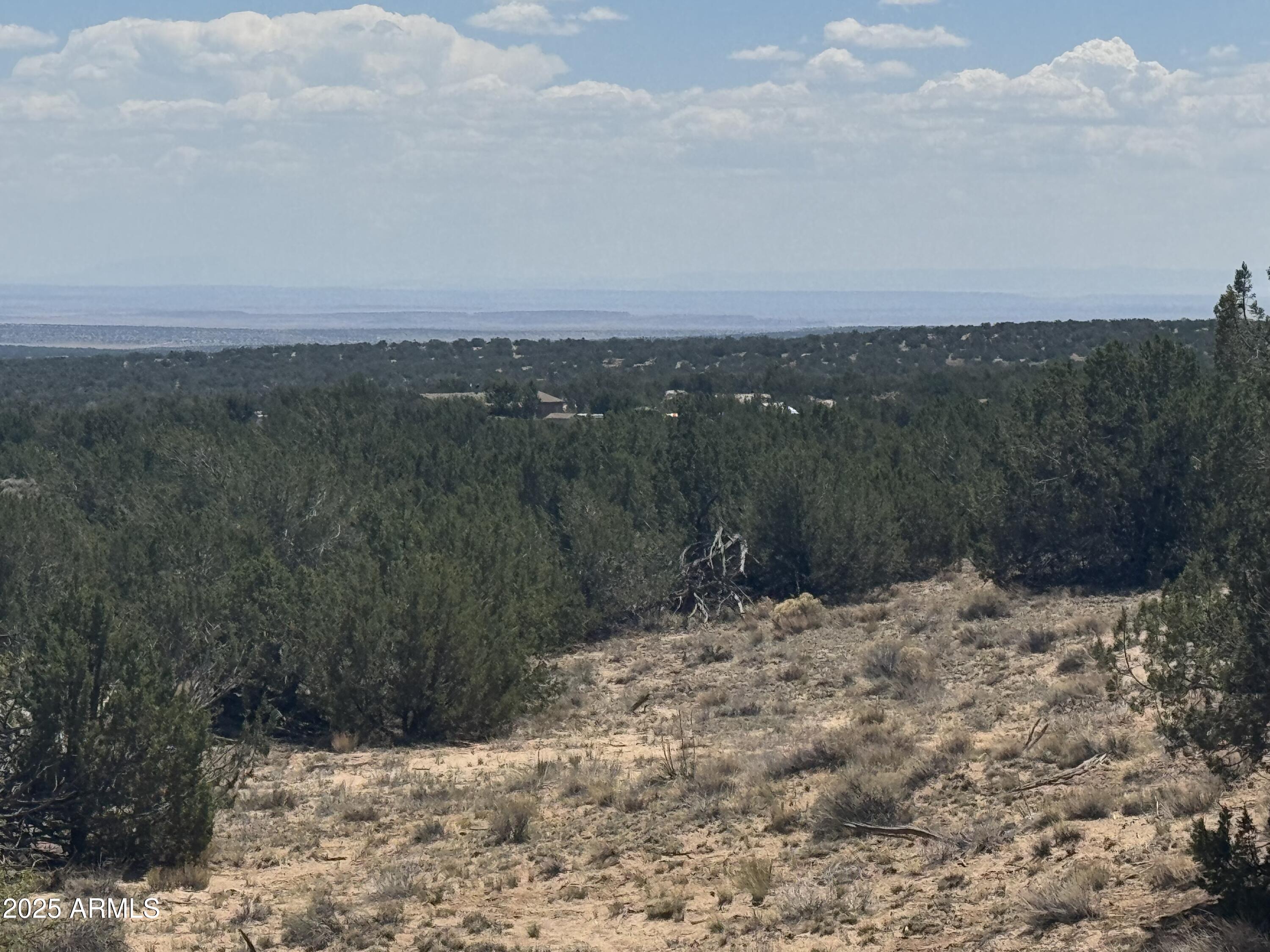 Lot 120 Red Sky Ranch, Unit 120B St. Johns, AZ 85936 - Photo 4 of 10 IMG_8919