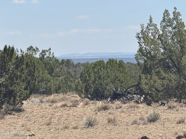 a view of a yard covered with snow