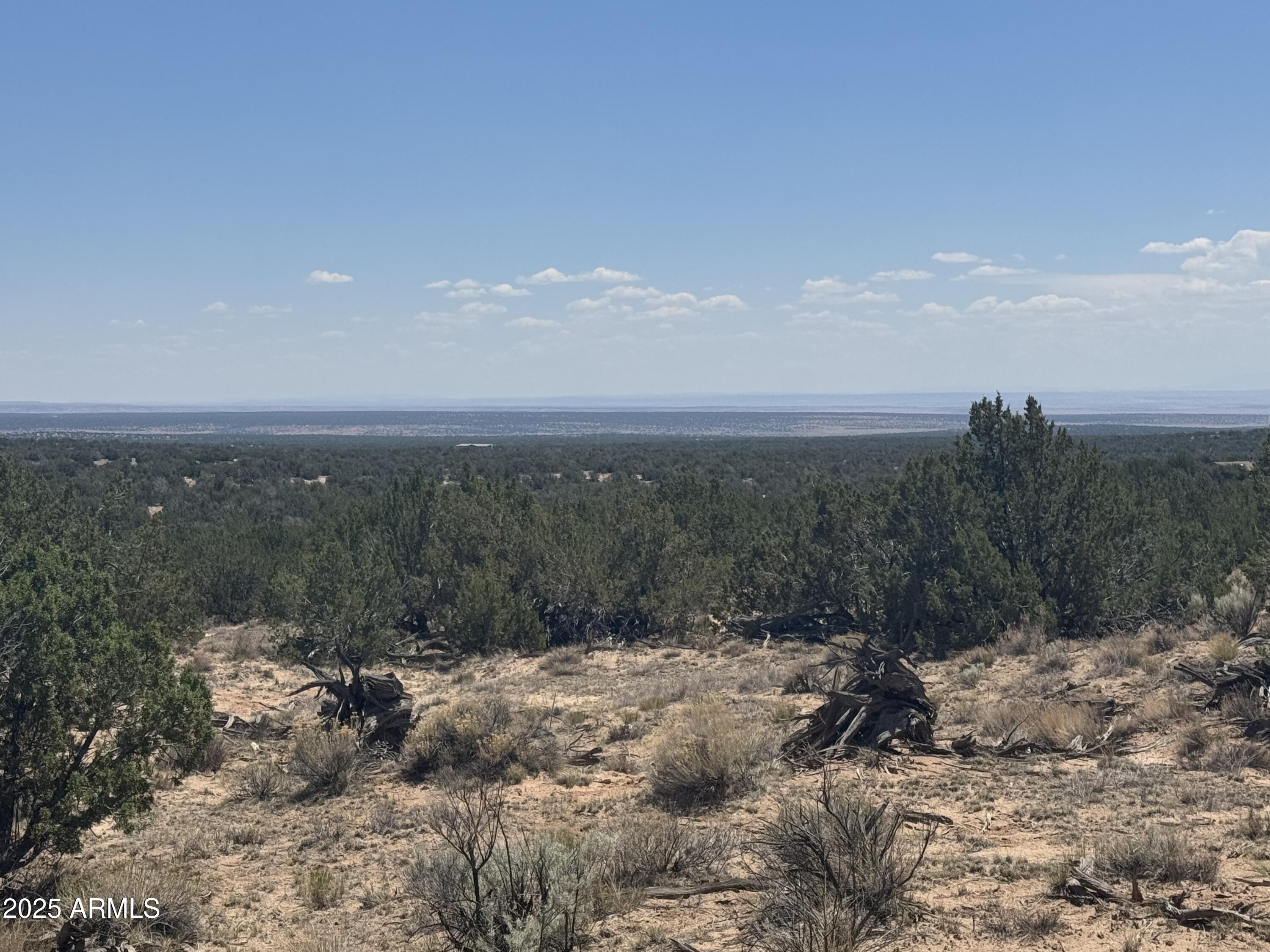 Lot 120 Red Sky Ranch, Unit 120B St. Johns, AZ 85936 - Photo 6 of 10 IMG_8910