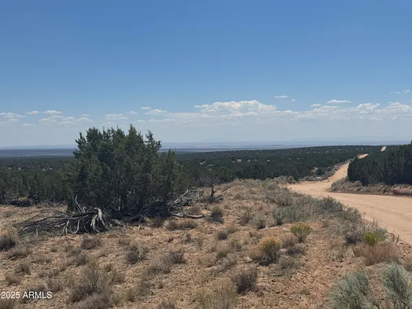 a view of a dry yard with wooden fence