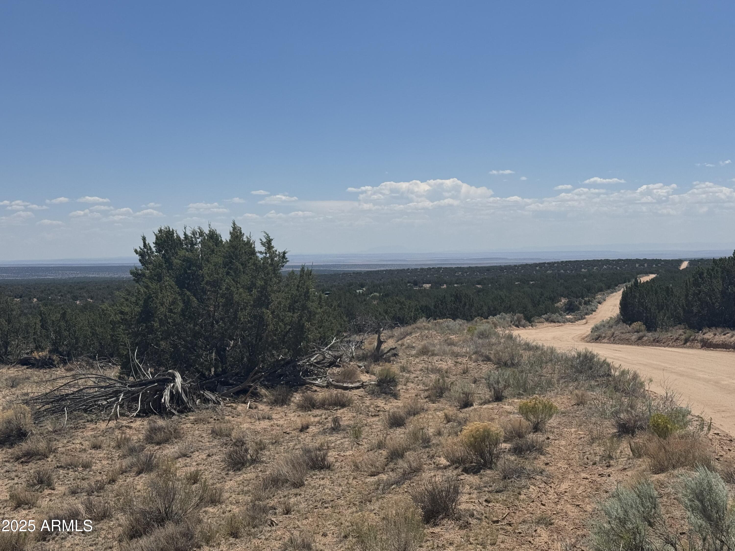 Lot 120 Red Sky Ranch, Unit 120B St. Johns, AZ 85936 - Photo 7 of 10 IMG_8908