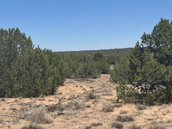 a view of a snow on a field