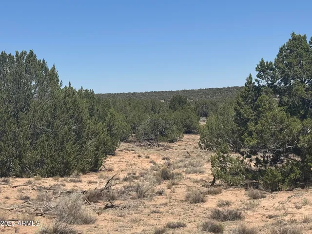 a view of a snow on a field