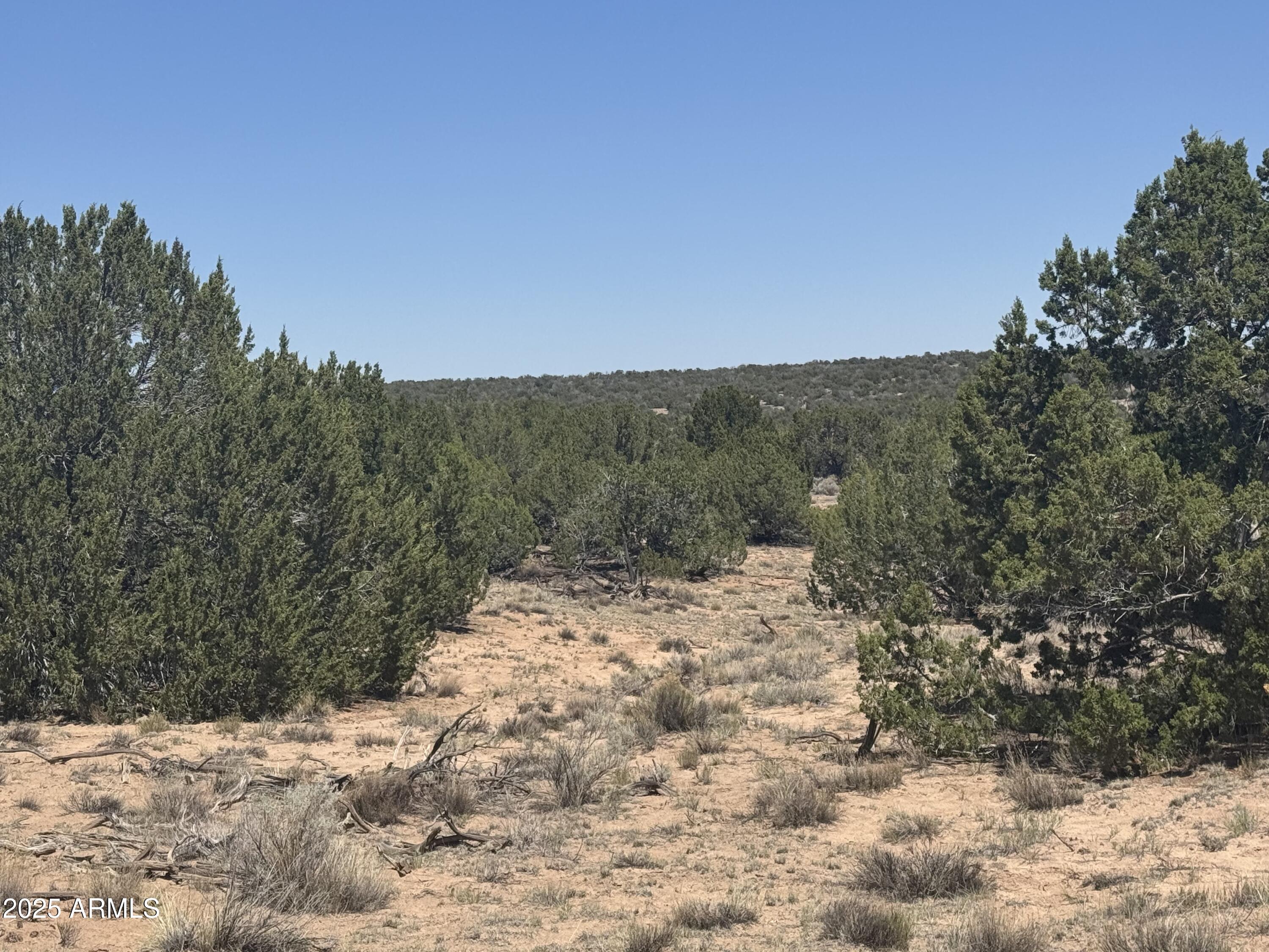 Lot 120 Red Sky Ranch, Unit 120B St. Johns, AZ 85936 - Photo 8 of 10 IMG_8911