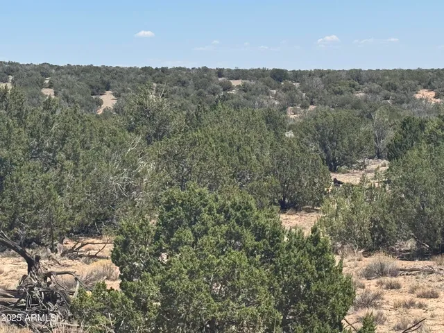 a view of a city with lush green forest