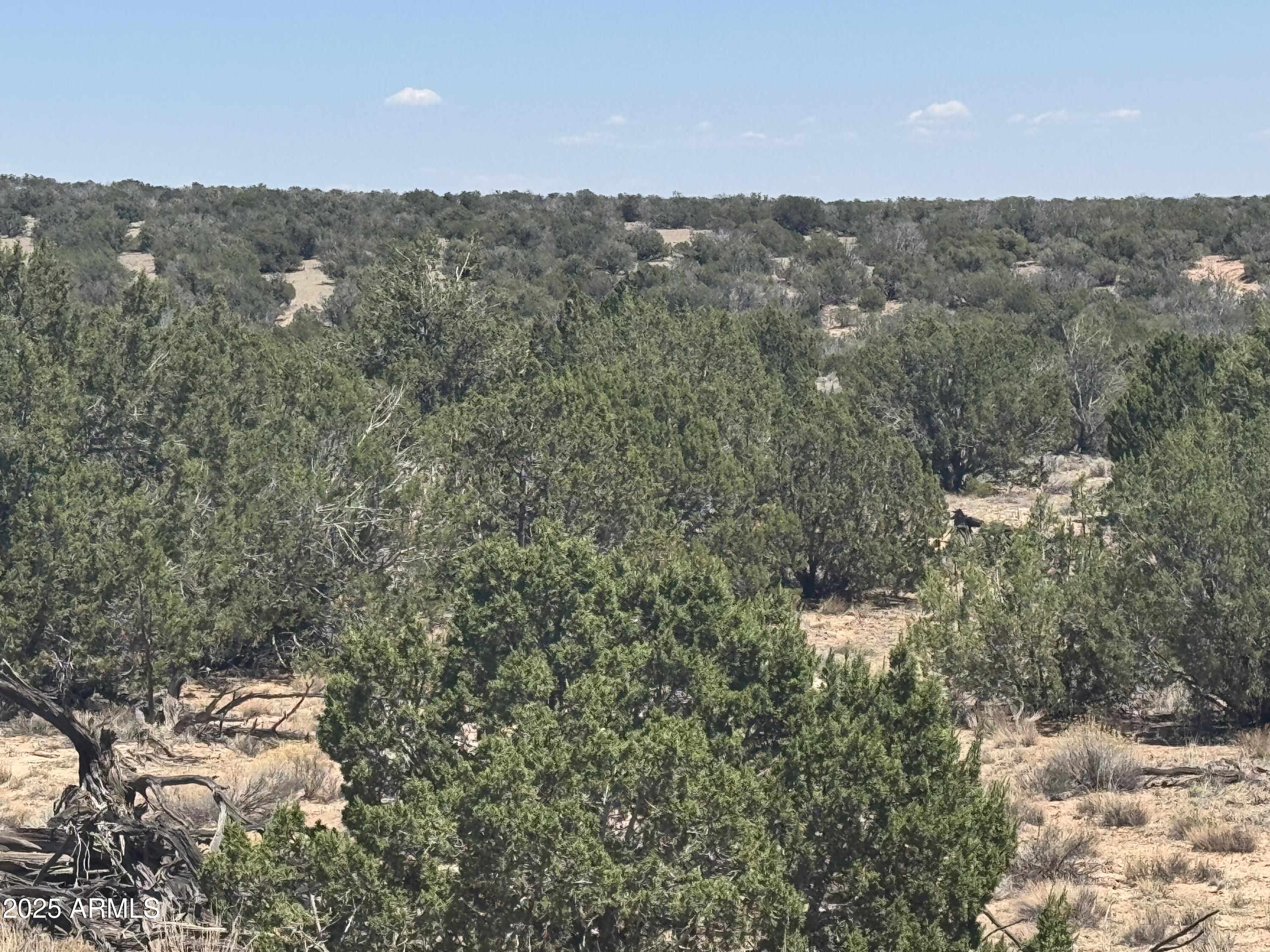 Lot 120 Red Sky Ranch, Unit 120B St. Johns, AZ 85936 - Photo 9 of 10 IMG_8916