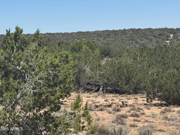 a view of a yard with a mountain