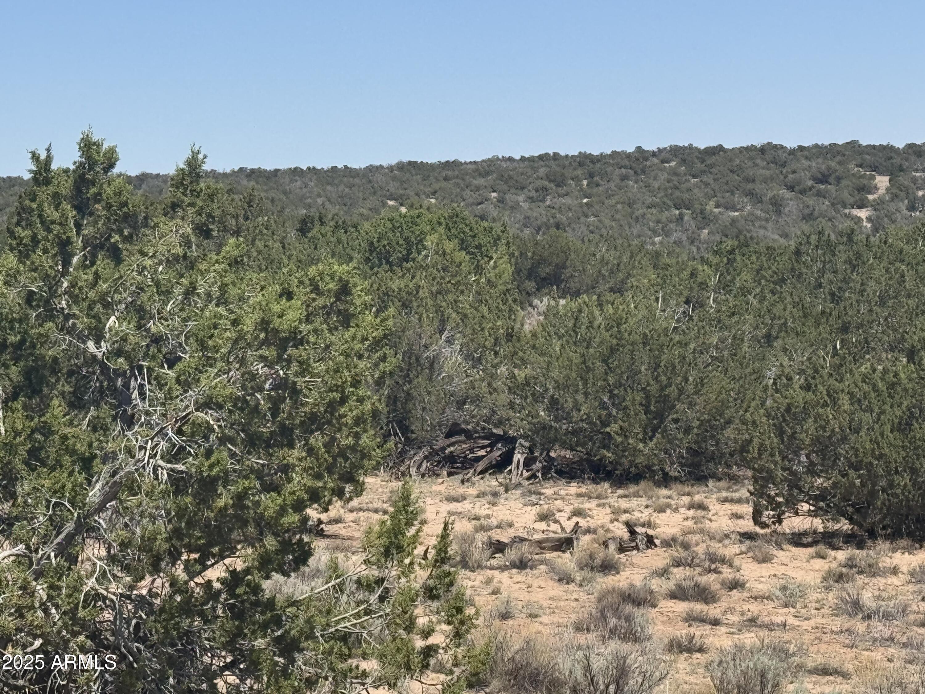 Lot 120 Red Sky Ranch, Unit 120B St. Johns, AZ 85936 - Photo 10 of 10 IMG_8918