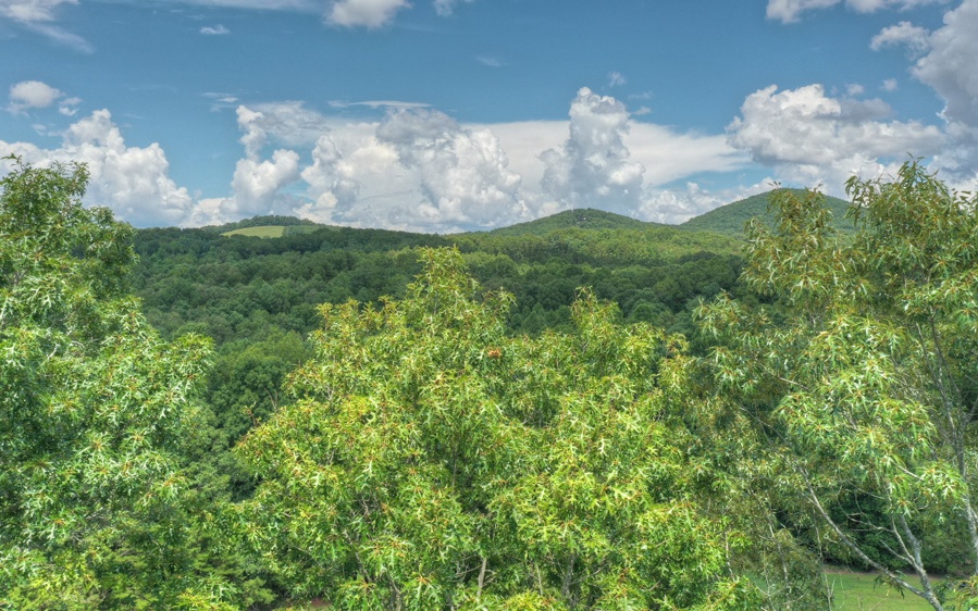 Turning Lay Creek Road Morganton, GA 30560 - Photo 1 of 4 Main View