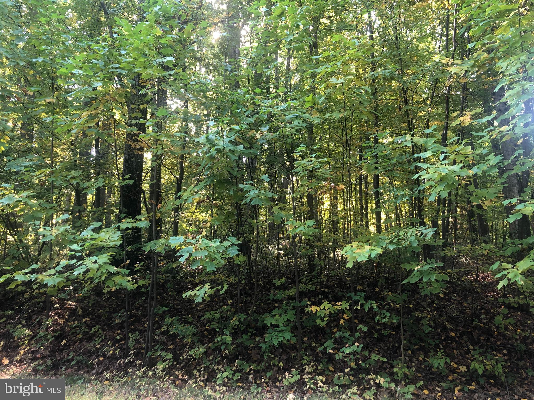 Barbara Alburtis, PA 18011 - Photo 2 of 7