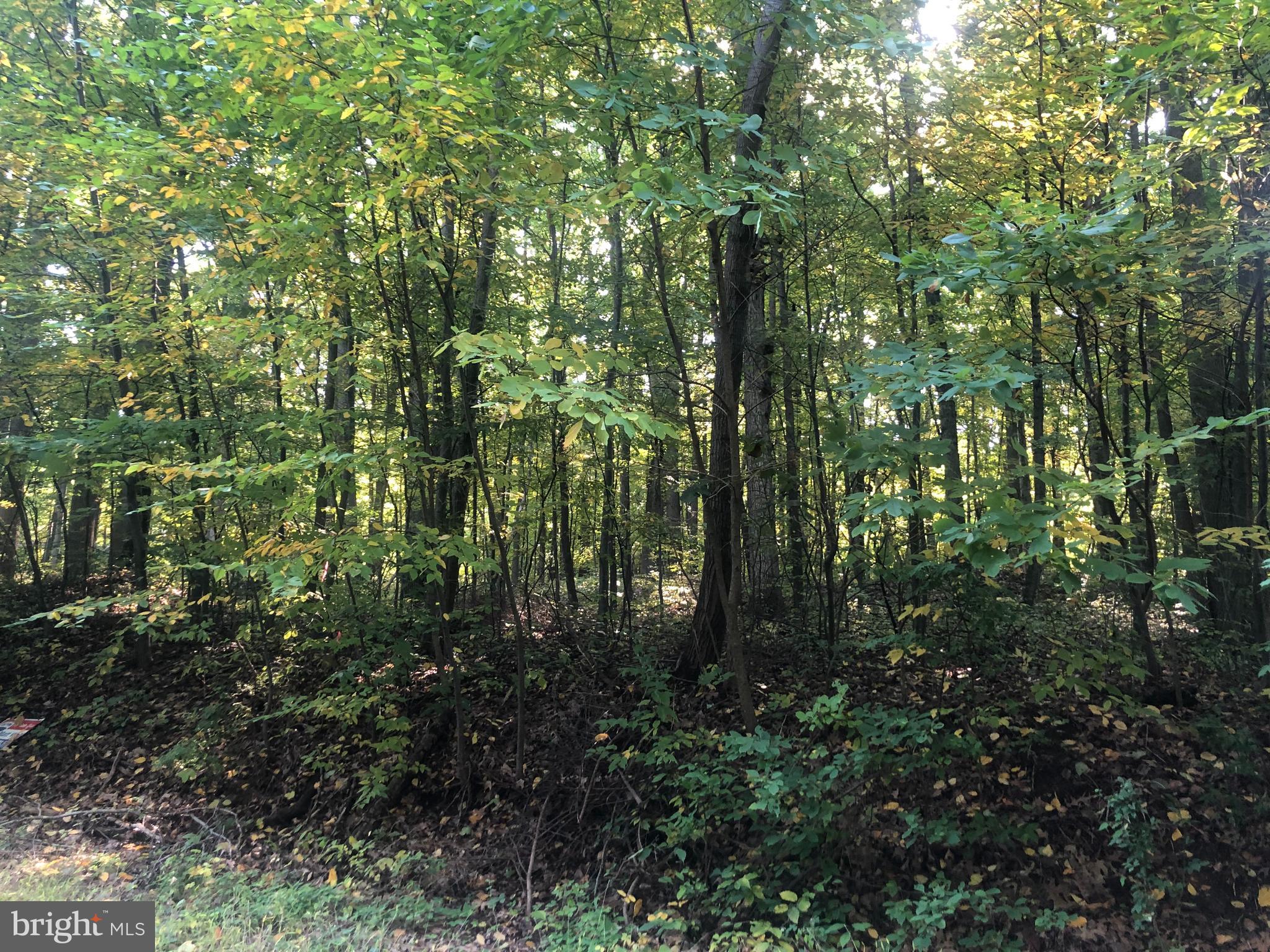 Barbara Alburtis, PA 18011 - Photo 3 of 7