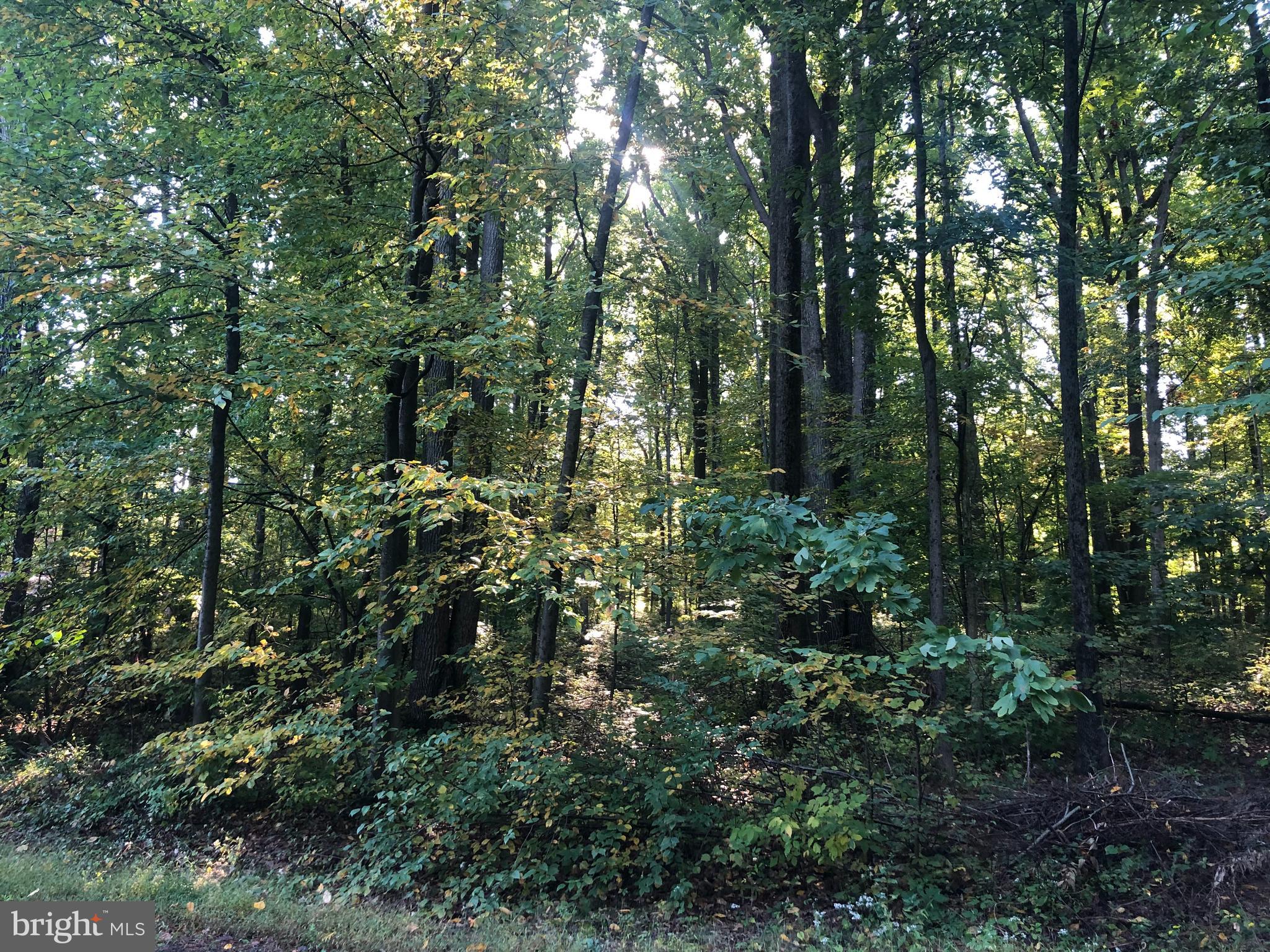 Barbara Alburtis, PA 18011 - Photo 4 of 7