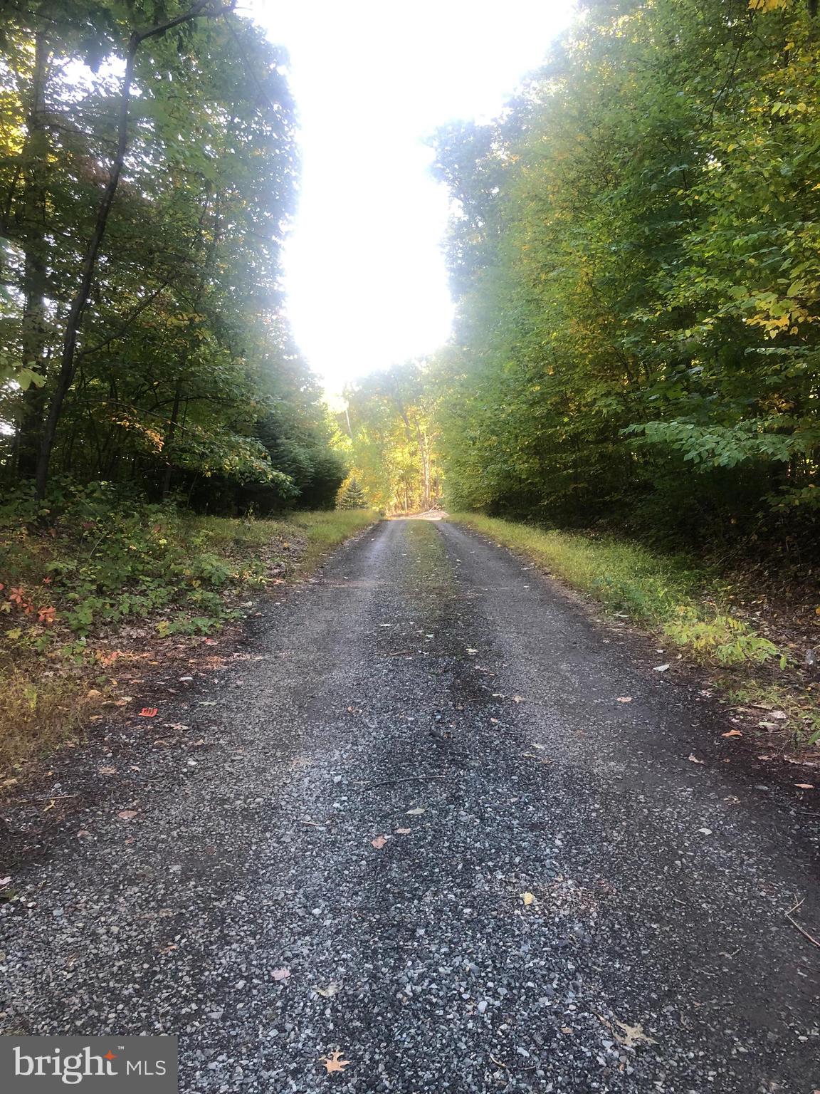 Barbara Alburtis, PA 18011 - Photo 5 of 7